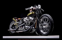 Jeff Corchan Speedking bobber