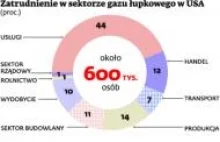 Gaz łupkowy: Uruchomienie wydobycia gazu zabójcze dla Rosji - wyniki badań.