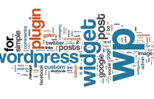 WordPress kod PHP na stronie i wpisie | Tworzenie stron internetowych...