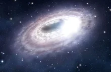 Jak formowała się największa z zaobserwowanych „zubożałych” galaktyk?