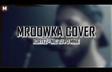 Kortez - Nic Tu Po Mnie - Mroowka Cover ( Gitara...