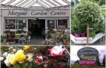 Morgans Garden Centre