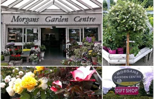 Morgans Garden Centre