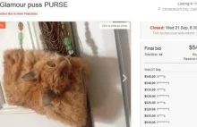 Torebka z głową martwego kota na nowozelandzkiej aukcji!