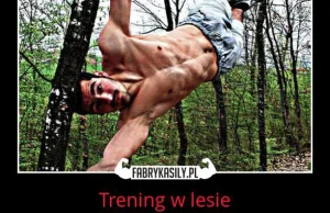 Trening w lesie