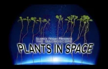 Rośliny w kosmosie