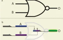 Diagnostyczny mikro-komputer z DNA działa w komórce bakteryjnej