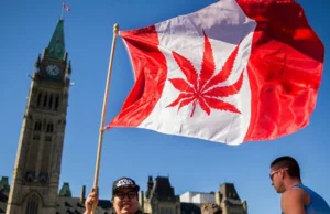 Kanada zalegalizowała rekreacyjne używanie marihuany!