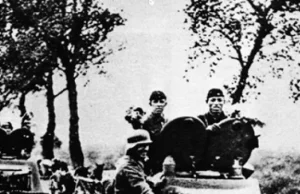 Sowieci przywiązywali dzieci do czołgów