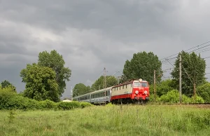 Łódzki marszałek przeciwny marnowaniu pieniędzy na BEZSENSOWNE projekty kolejowe