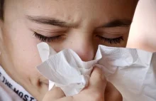 Dzieci chorują przez smog. Największym zagrożeniem alergia i astma