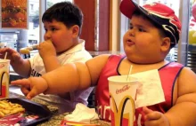 Badania - układ odpornościowy rozpoznaje fast food jako zagrożenie dla zdrowia!