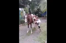 Mała dziewczynka wsiada na konia