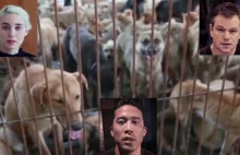 Mieli uratować z rzeźni 1000 psów. Większość zginęła dzięki "ratunkowi"...