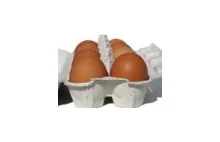 Zrobieni w jajo! Nie będzie zakazu sprzedaży jaj z chowu klatkowego!