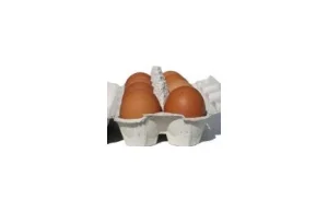 Zrobieni w jajo! Nie będzie zakazu sprzedaży jaj z chowu klatkowego!