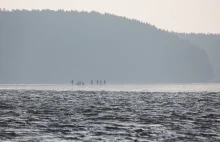 Pięciu wędkarzy dryfowało na krze lodowej na Jeziorze Karsińskim.