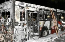 Pies uratował pasażerów płonącego autobusu