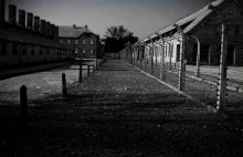 Dziś rocznica największej masowej egzekucji w KL Auschwitz