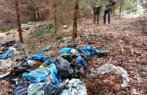 Polak frajer, sam sobie szkodzi. Bo wyrzuca do lasu wszystko, co się tylko da