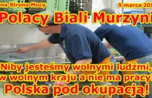 Polak biały murzyn