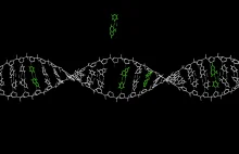 Przełom w badaniach nad edycją DNA metodą Crispr