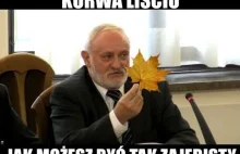 LEŚNY DZIADZIUŚ