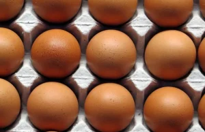 Afera w Pjongczang! Norwegowie skazani na jedzenie jajek!