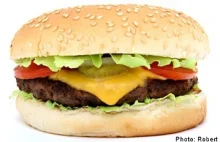 Larwy w hamburgerach z McDonald's