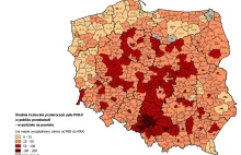 'To tragiczne, że nie możemy zapewnić bezpieczeństwa dziecku'. Pediatra...