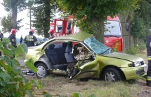 Nowy Tomyśl: Śmiertelny wypadek. Nissan rozbił się na drzewie [ZDJĘCIA