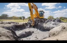 Dramatic Rescue Of An Elephant Stuck In Mud