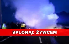 SZOKUJĄCE fakty o wypadku polskiego busa w Calais. Kierowca spłonął żywcem.