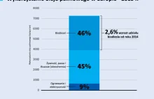 Biodiesel z oleju palmowego gorszy od zwykłego oleju napędowego