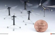 Oto najmniejszy latający robot świata