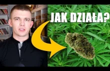 MEDYCZNA MARIHUANA *SZOKUJĄCE...