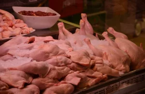 ​Pięć ton kurczaków zarażonych salmonellą trafiło ze Słowacji do Polski