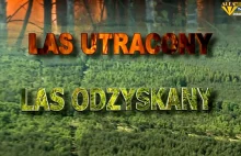 Las utracony - Las odzyskany