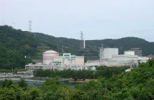 Japonia: Elektrownia atomowa Tsuruga zagrożona dużym trzęsieniem ziemi.