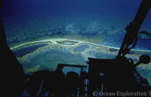 Gulf of Mexico Brine Pools with Megan Cook | Mission Blue