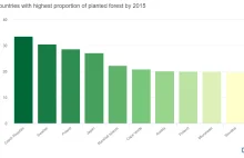 Polska na 3 miejscu na świecie pod względem liczby posadzonych drzew za1990-2015