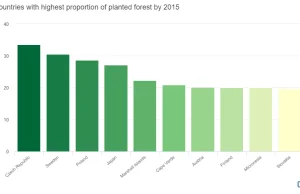 Polska na 3 miejscu na świecie pod względem liczby posadzonych drzew za1990-2015