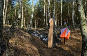 Śnieżne Konwalie, wbrew zasadom