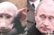 Przodek Putina