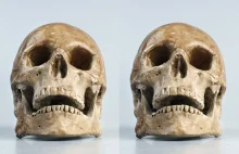 Żuromin. Dwie ludzkie czaszki podrzucone w reklamówkach