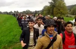 Tłum migrantów przechodzi przez Słowenię
