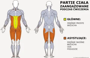Jak robić brzuszki żeby były widoczne mięśnie?