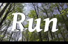 Run (2017