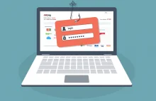 RAPORT - Ataki phishing wykorzystujące fałszywe strony szybkich płatności.