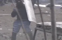 Majdan - rodzaje demonstrantów